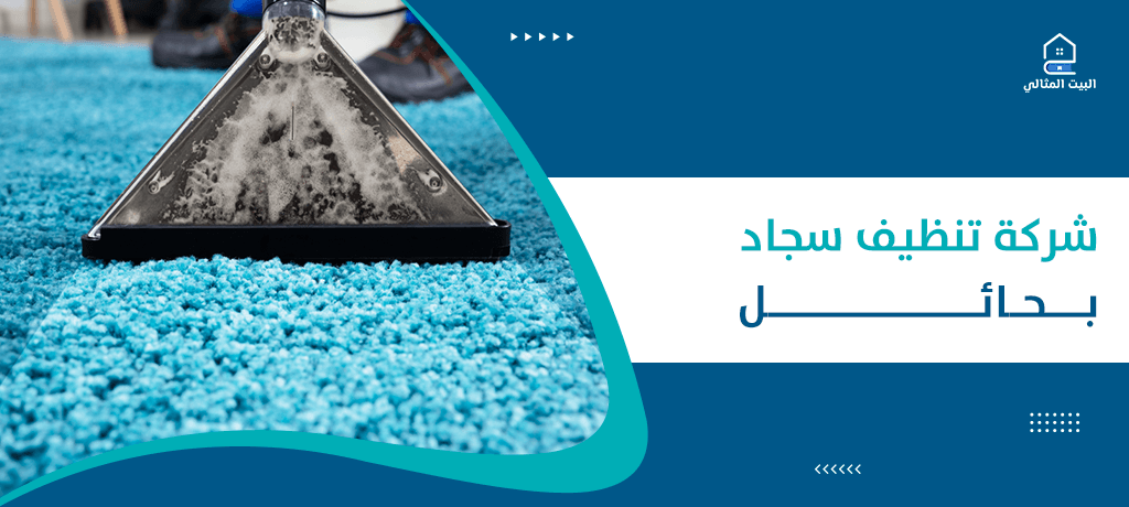 شركة تنظيف سجاد بحائل