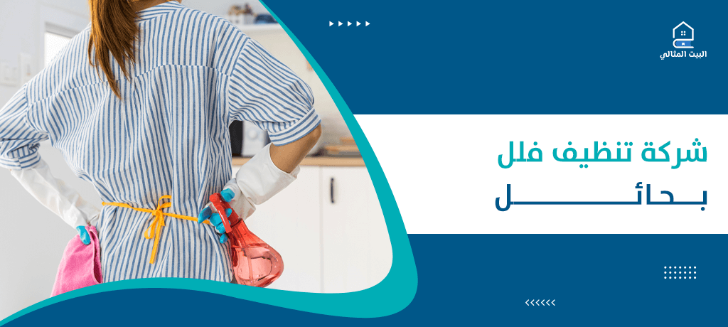 شركة تنظيف فلل بحائل