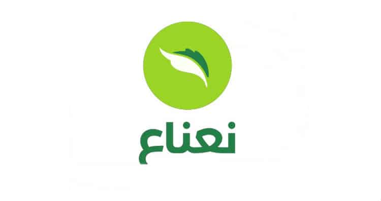 طريقة شحن بطاقة نعناع
