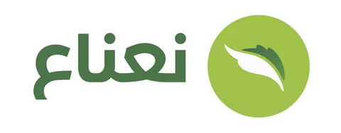 طريقة شحن بطاقة نعناع