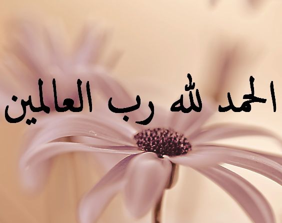 عبارات حمد لله