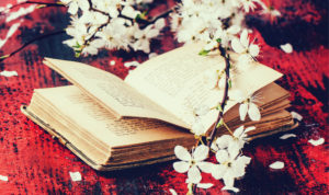 ابيات شعر قصيرة