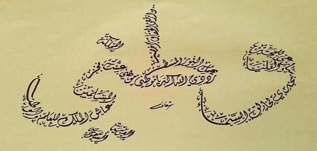 عبارات جميلة عن حب الوطن