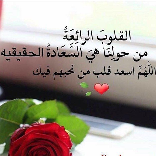 عبارات وكلام جميل
