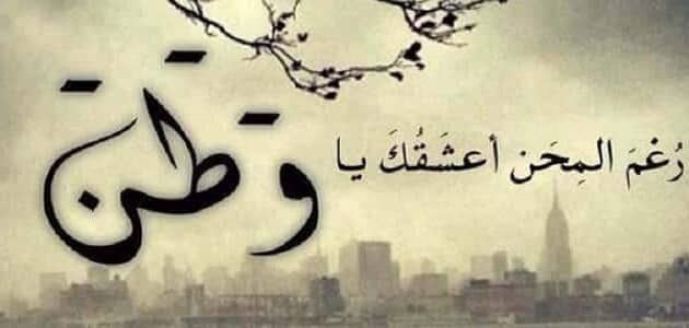 عبارات عن الوطن