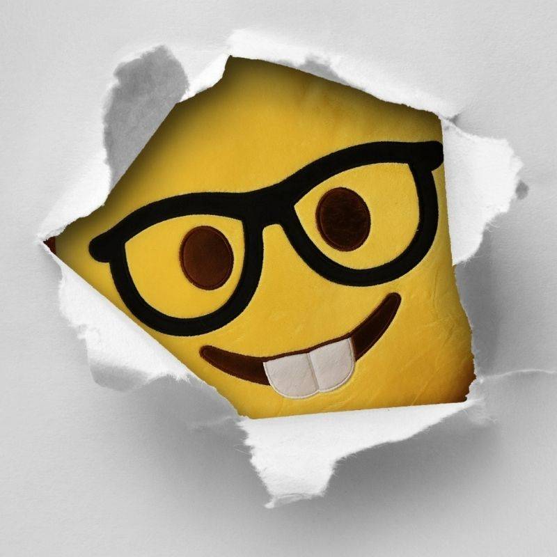 اجمل نكت في العالم