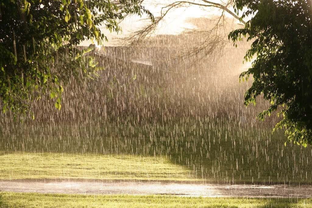 كلمات جميلة عن المطر