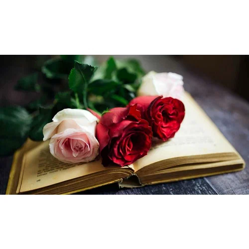 اجمل شعر الغزل
