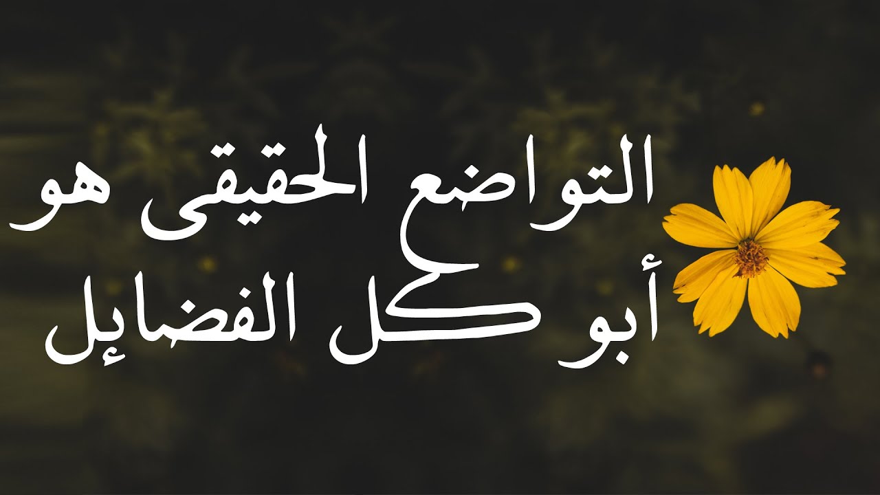 عبارات قصيرة جميلة
