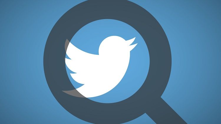 بحث عن التويتر