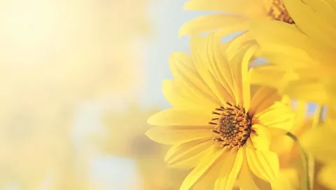 أجمل عبارات الصباح