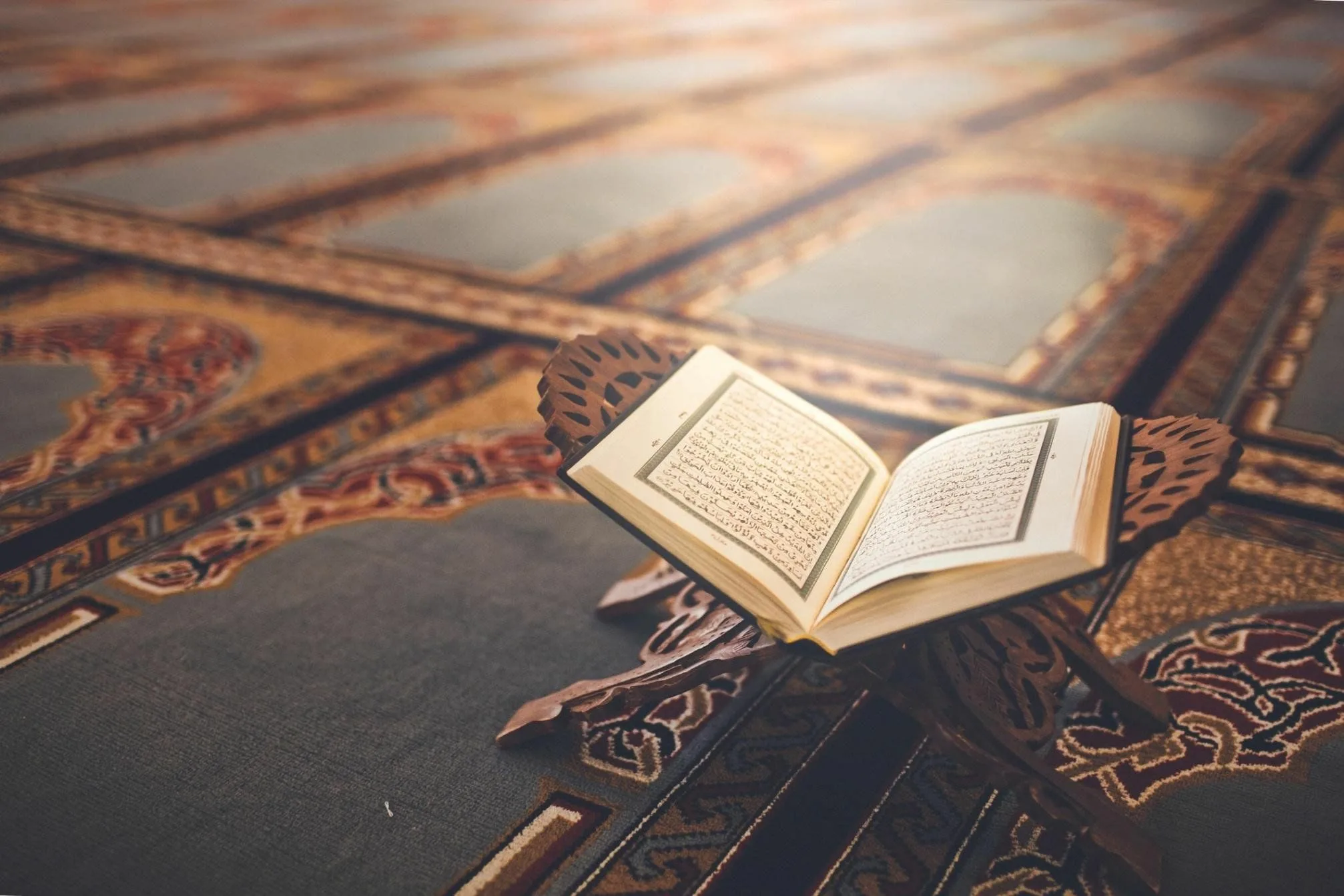 آيات عن الصبر