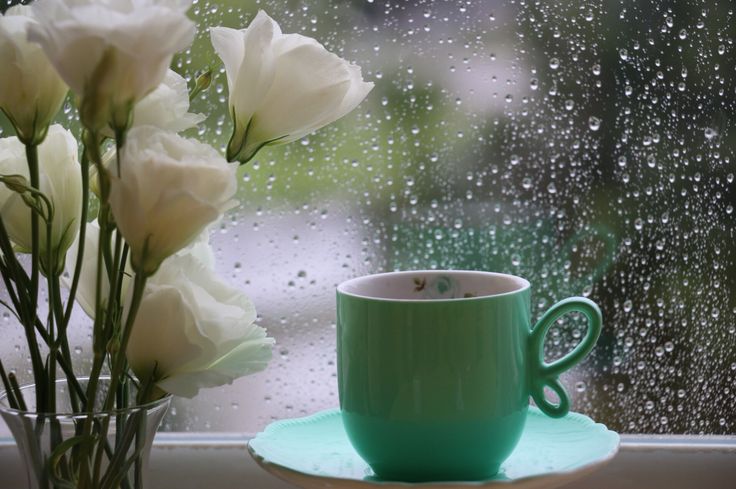 رسائل صباحية جميلة عن المطر