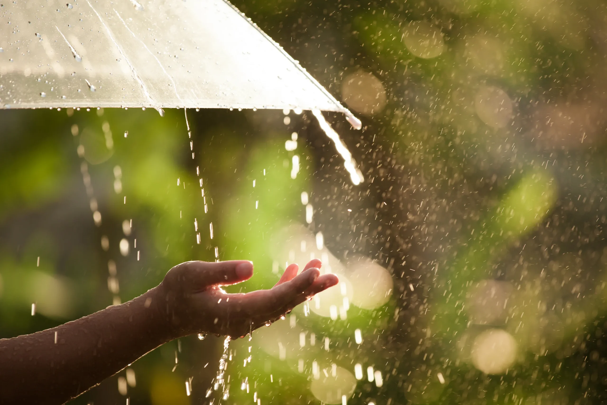رسائل صباحية جميلة عن المطر
