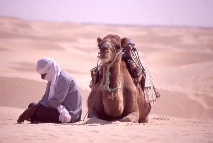 شعر بدوي عن الرجولة