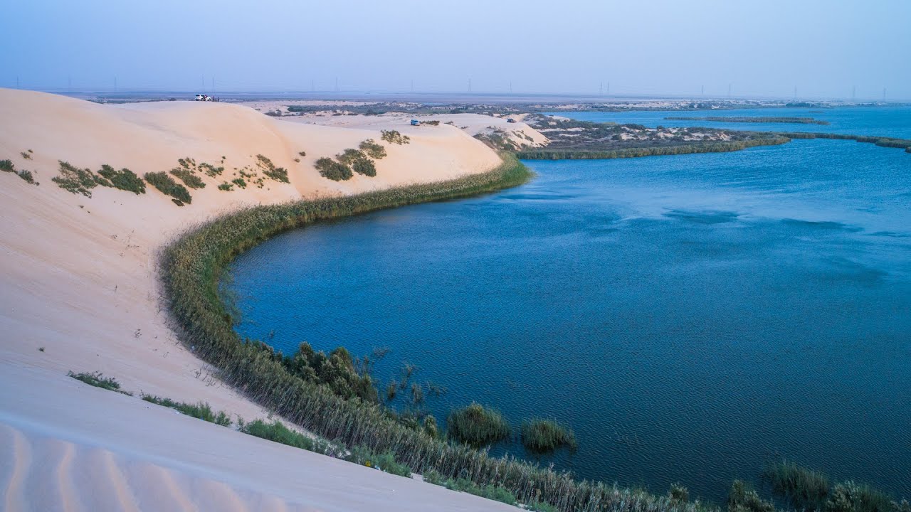 بماذا تشتهر الأحساء