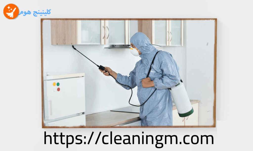 شركة رش حشرات بالمدينة المنورة