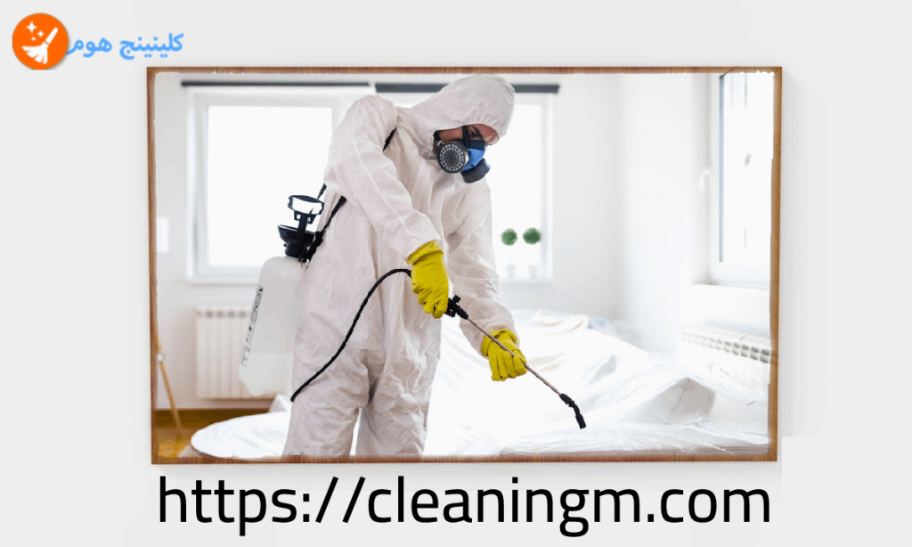 شركة مكافحة حشرات بالمدينة المنورة