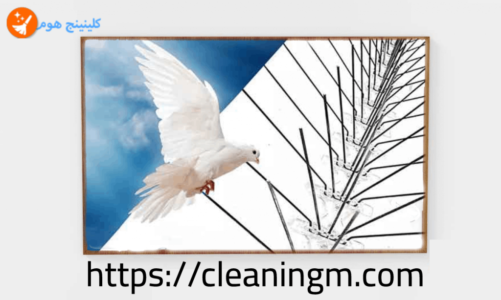 شركة تركيب طارد الحمام بالمدينة المنورة