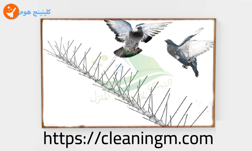 شركة مكافحة الحمام بالمدينة المنورة