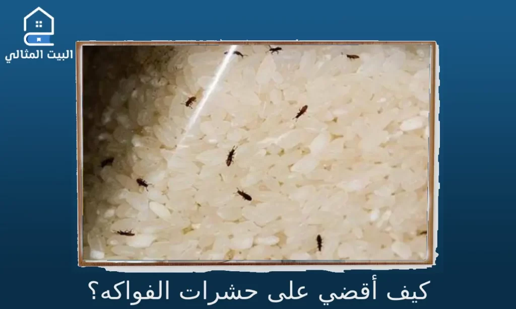 كيف اتخلص من حشرات الارز