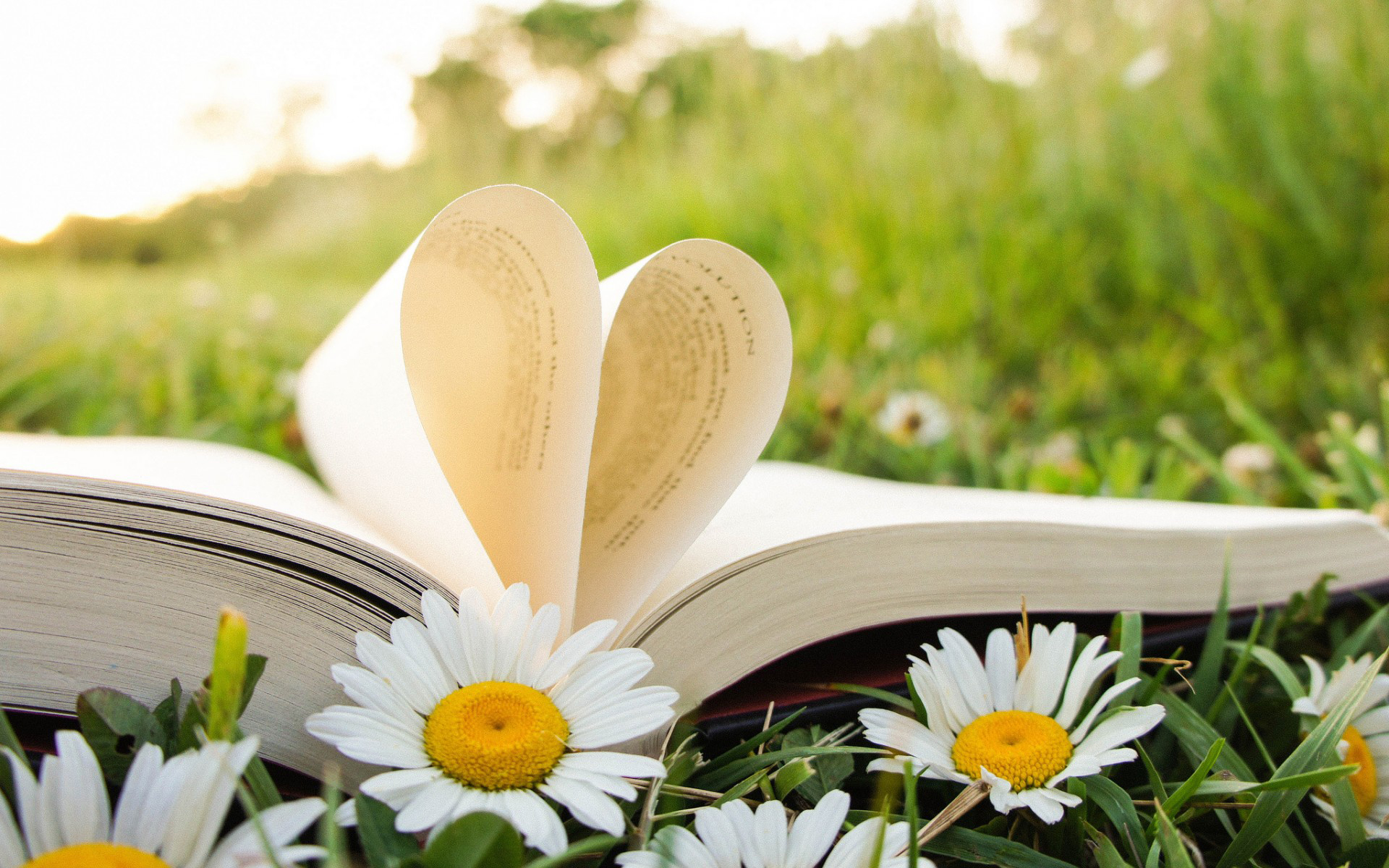 كلمات شكر رائعة