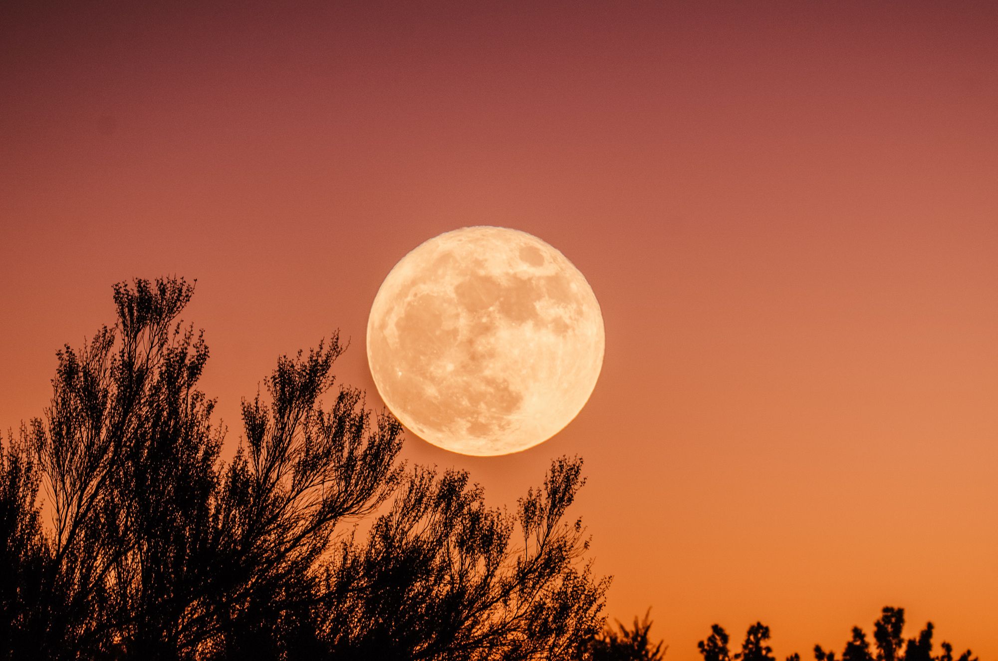 كلمات مساء الخير