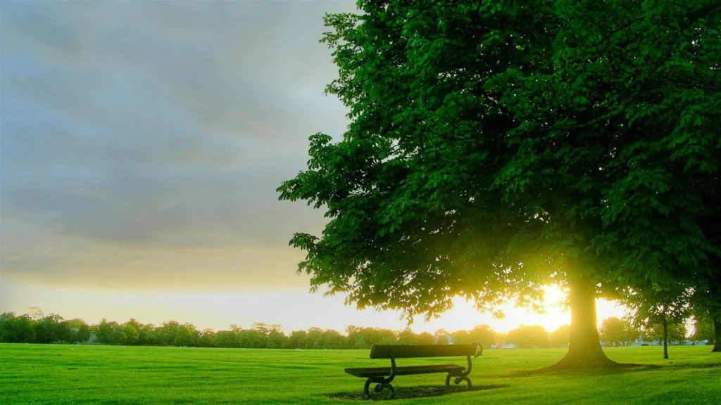 أجمل دعاء صباح