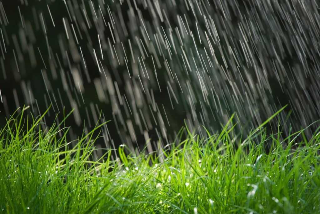 كلمات جميلة عن المطر