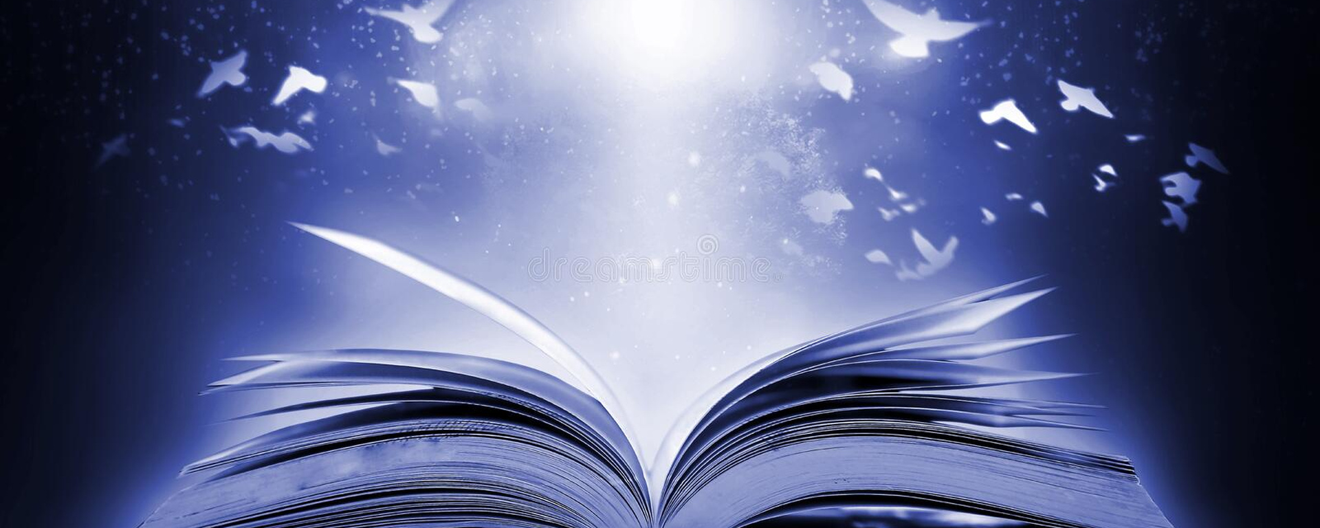 كلمات قصيرة وجميلة