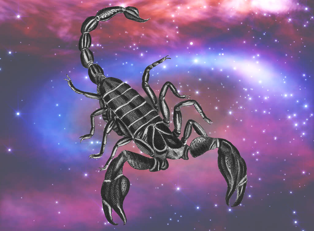 تفسير العقرب في الحلم