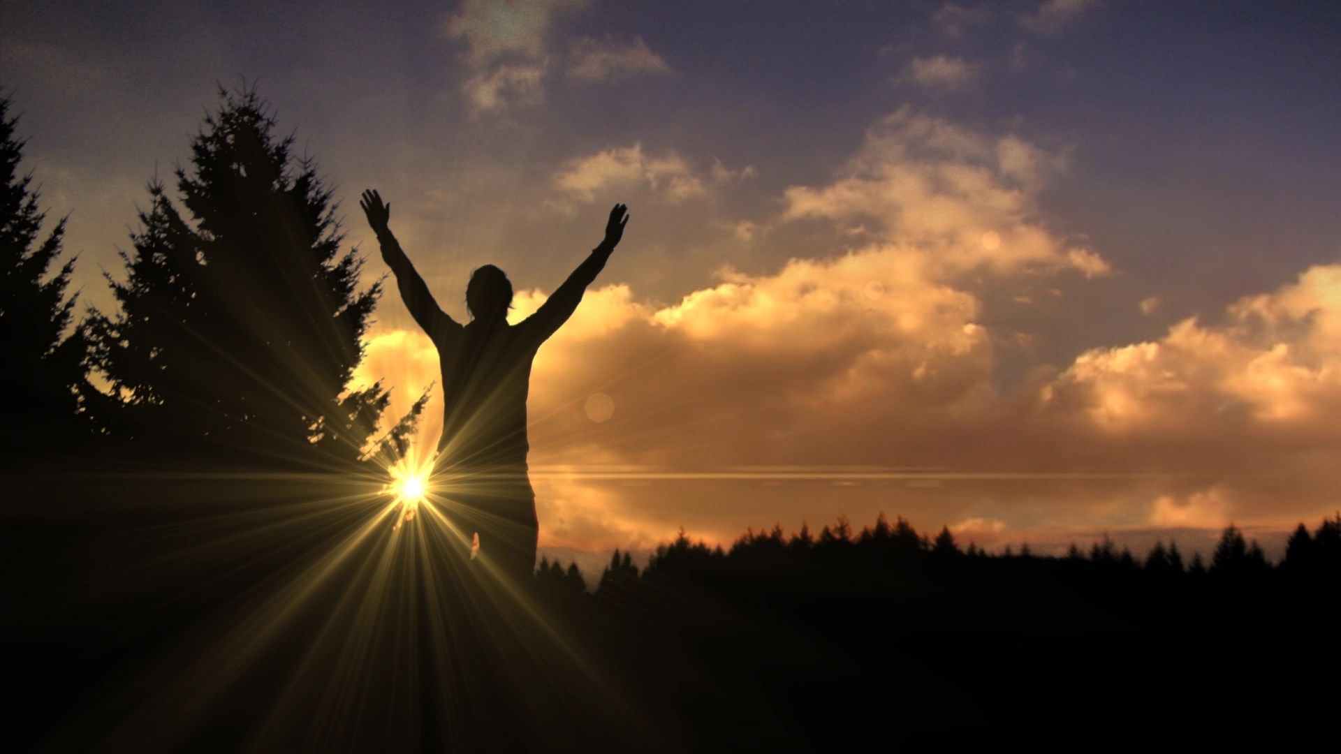 عبارات مدح وثناء