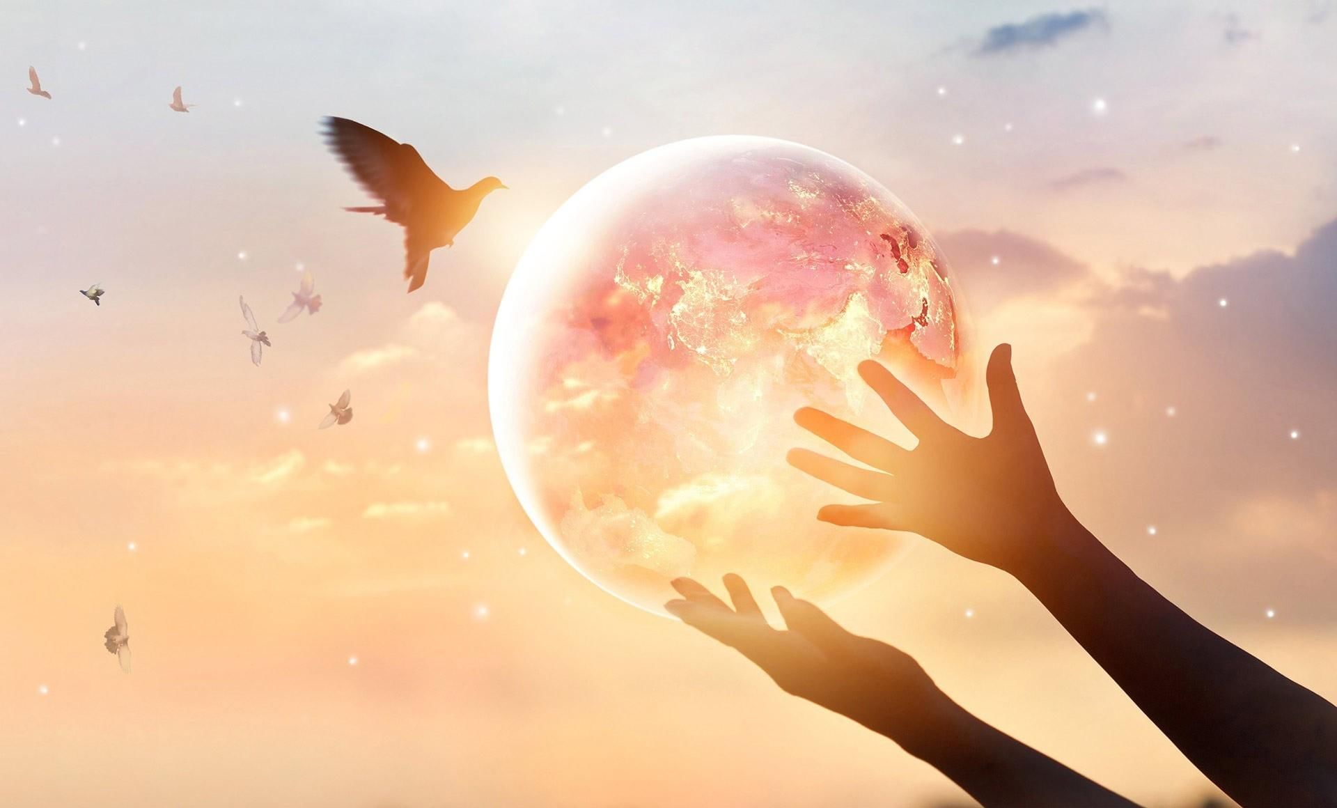 أجمل الاقتباسات عن الحياة 1 أجمل الاقتباسات عن الحياة