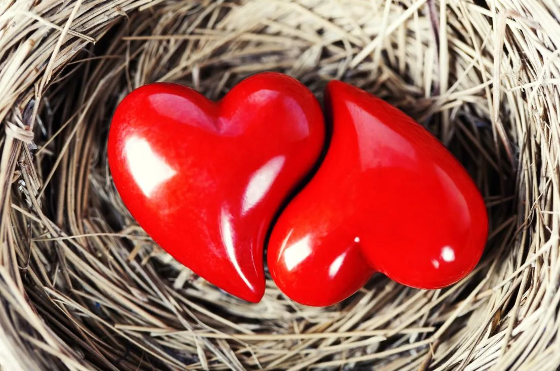 كلام عن حبيبي