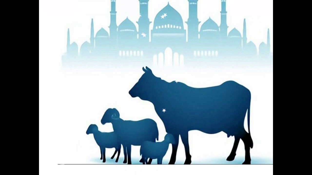 عبارات تهنئة عيد الأضحى