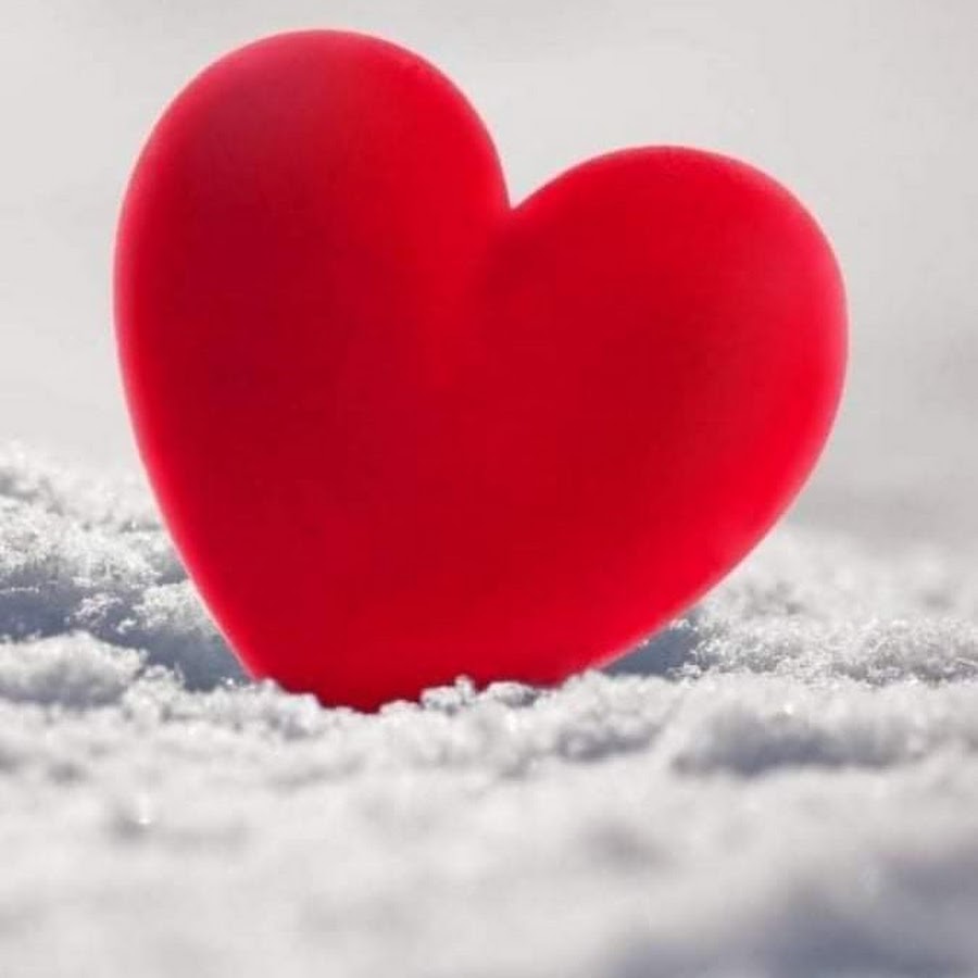 كلام عن حبيبي