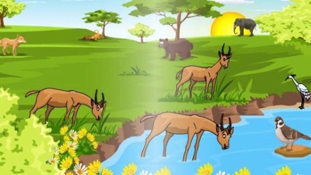 العوامل الحيوية واللاحيوية في النظام البيئي