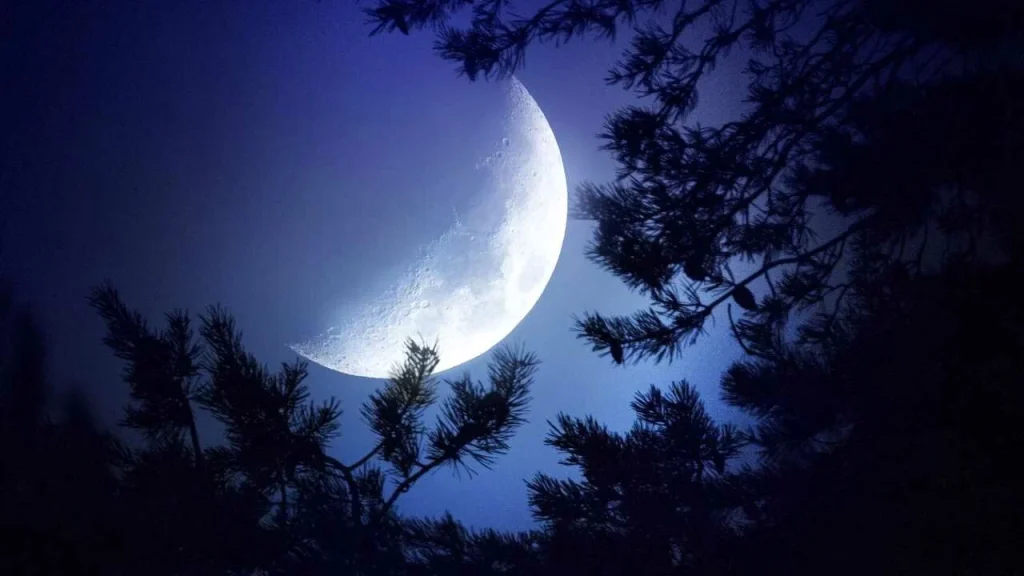 مسجات تصبحون على خير