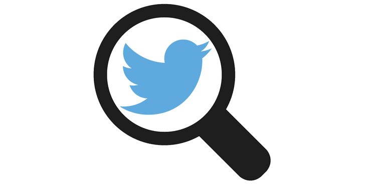 بحث عن التويتر