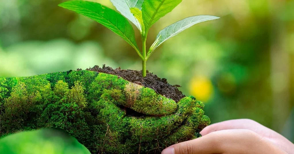 بحث عن البيئة الصحية 1 بحث عن البيئة الصحية