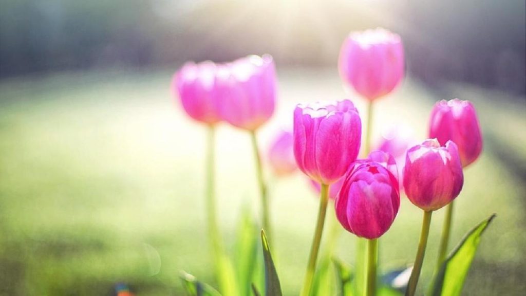 رسائل صباحية جميلة تبعث الطاقة الإيجابية