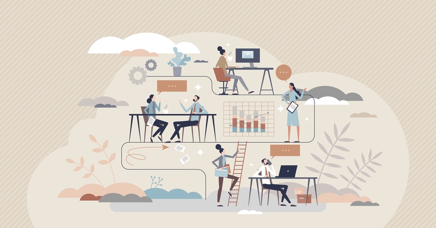 مفهوم التنظيم