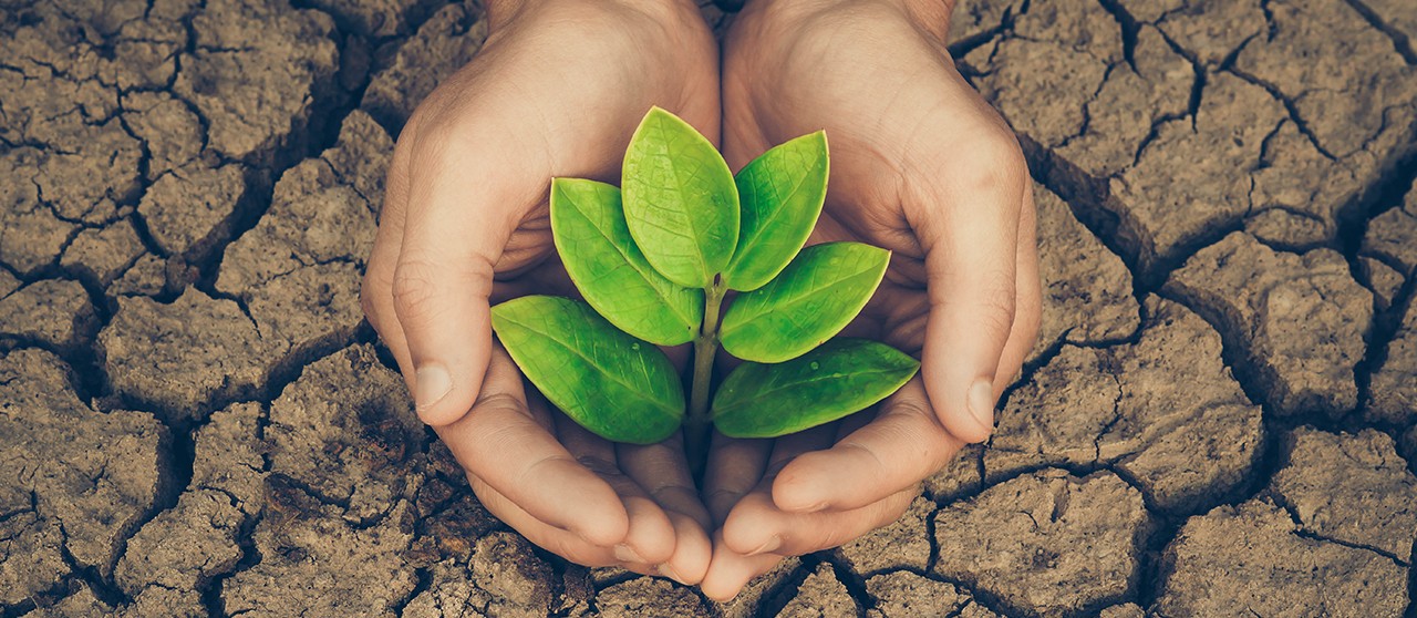 وسائل المحافظة على البيئة 1 وسائل المحافظة على البيئة