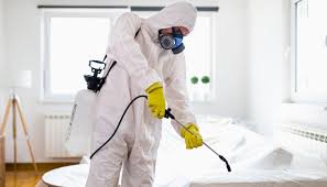 مكافحة الحشرات وصيانة المنازل